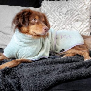 Mailo der Mini Aussie liegt gemütlich auf dem Sofa und trägt seinen Bademantel in der Farbe pastellmint. Sein Name Mailo ist darauf gestickt.