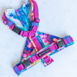 Hundegeschirr nach Mass