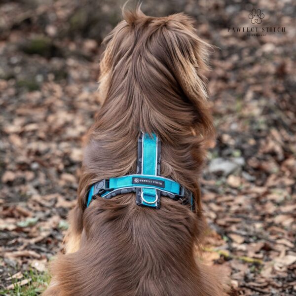 Reflektierendes Hundegeschirr – Bild 4