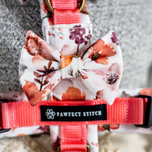 Schleife für Hundegeschirr