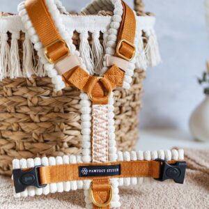 Hundegeschirr nach Mass - Cord Edition