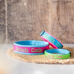 Halsband mit Klickverschluss