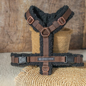 Hundegeschirr nach Mass - Teddy Edition